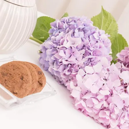 Aparthotel Polyxeni's 3*