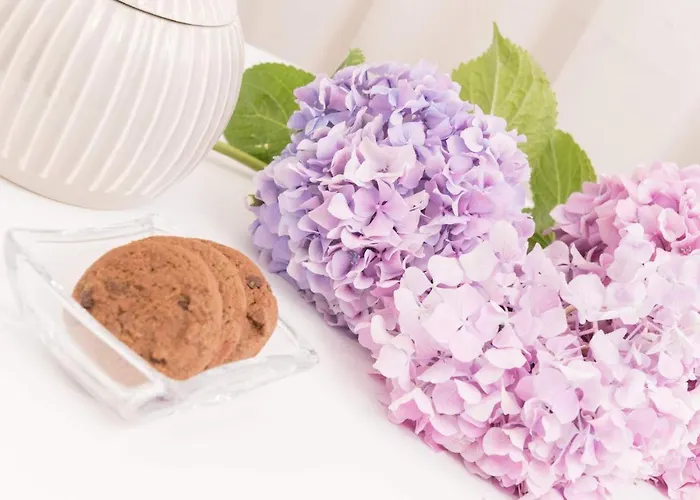 Hotel de apartamente Polyxeni's 3*